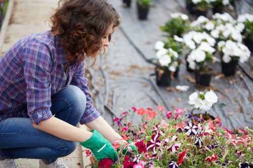 A gardener with curly brown hair wearing a purple plaid shirt, blue jeans, and green gardening gloves is kneeling on a black plastic sheeting ground cover in an outdoor garden. She is carefully planting or tending to a variety of colourful flowers, including pink, purple, and white blooms, in a well-organised flower bed. Behind her, there are several potted plants with white flowers arranged in rows, possibly awaiting planting or transplanting. The garden appears to be part of a residential outdoor space with a natural, landscaped layout. The weather is bright and clear, providing good natural light for gardening activities. The scene reflects routine lawn and garden maintenance, typical of services offered by companies like Lawn Mowing Deptford, focusing on flower bed care and planting in a suburban or urban garden setting near Deptford, London.
