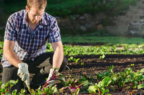 Garden maintenance team pruning and mulching a planter bed